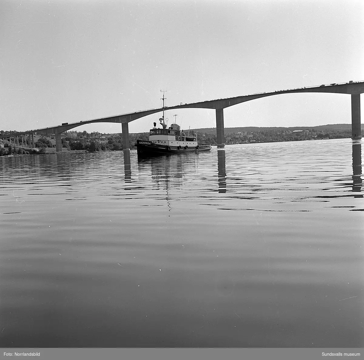 Bogsering av timmer vid Alnöbron.