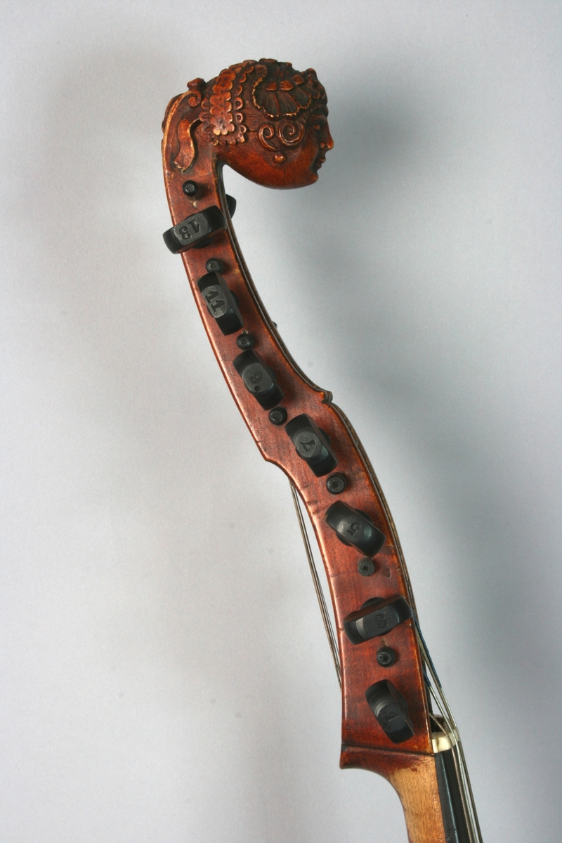 Strengeinstrument med 7 + 7 strenger. Mørk brun lakk. Lokkanten av ibenholt, slangeformede lydhull med punkt. Skruene muligens orginale, men nå forsynt med tykke, innstemplede tall ved hodeenden. Skruekassen ender i et utskåret kvinnehode.