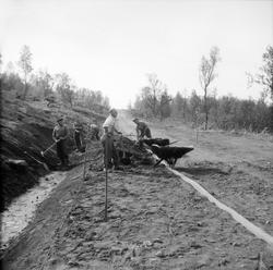 Veiarbeide. Fem arbeidskarer arbeider med anlegging av vei. 