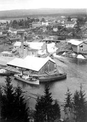 Oversiktsbilde fra Ørje i Marker, med Ørje Brug i forgrunnen