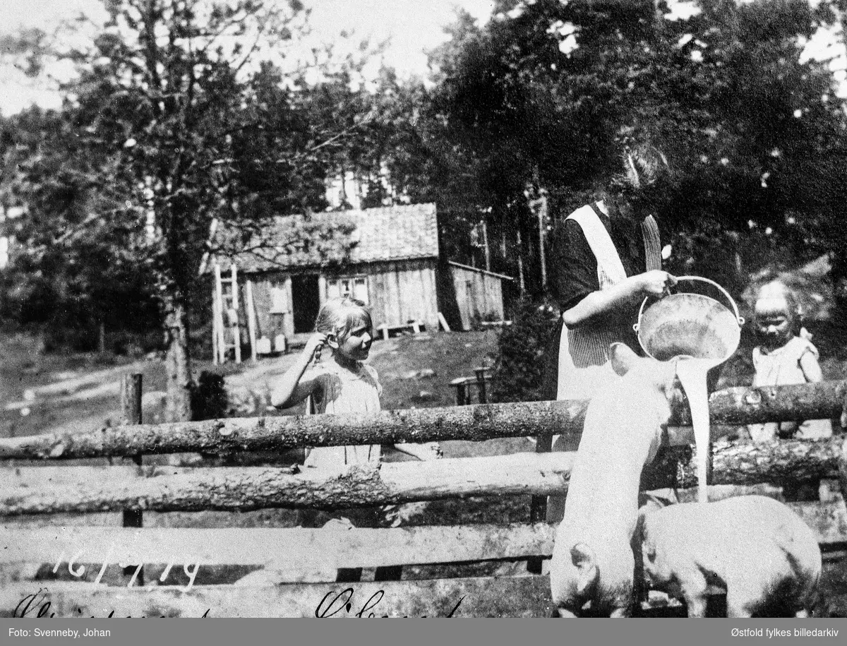 Sørbysetra i Trømborgfjella i Eidsberg juli 1919. Aagot Trømborg (g. Klerud) mater griser. Jentene Gerd og Edith fra Drammen ser på.