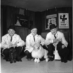 Fra revyen KYSS KATTA på Chat Noir, sesongen 1962 - 1963..Fr