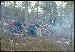 Pasvik i 1978. NOF-medlemmer på fugletittertur i Pasvikdalen