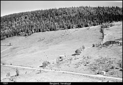 Bergland, Myrgrenda Venabygd i Ringebu