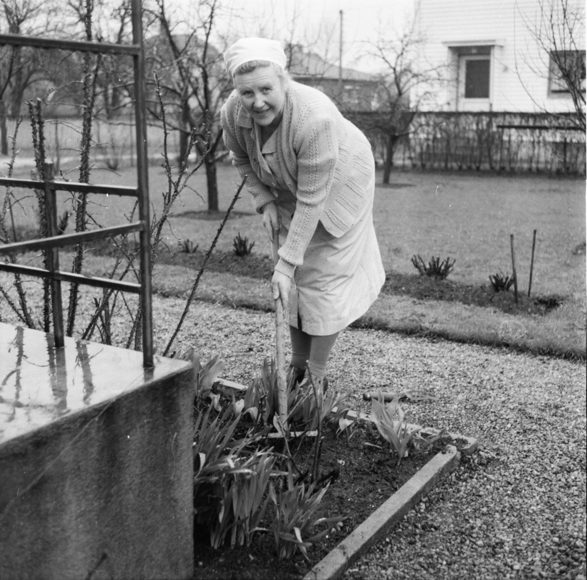 Vardens arkiv. "Vår-reportasje"  06.05.1954