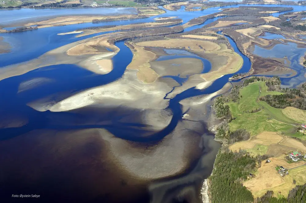 Flyfoto av øyeren delta