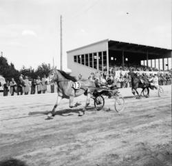 Vardens arkiv. "Løp på Travbanen. Vinneren får pokal"  ukjen