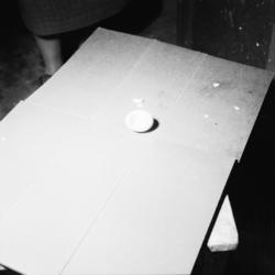 Vardens arkiv. "Kyllingutklekking på Frogner Småbruksskole" 