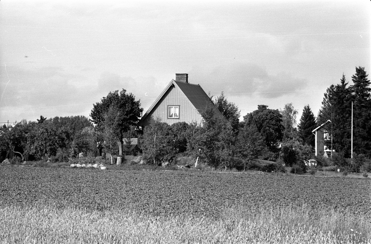 Vy över Råsta 1:9, Råstaberg, Tensta socken, Uppland 1978