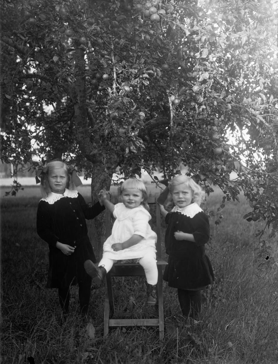 "Tre småjäntor, Oskar Södergrens Tibble, Torstunaby", Uppland 1918