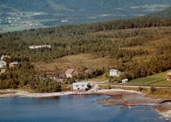 Flyfoto fra Nybø på Tingvoll. Bildet er datert 30. juli 1963