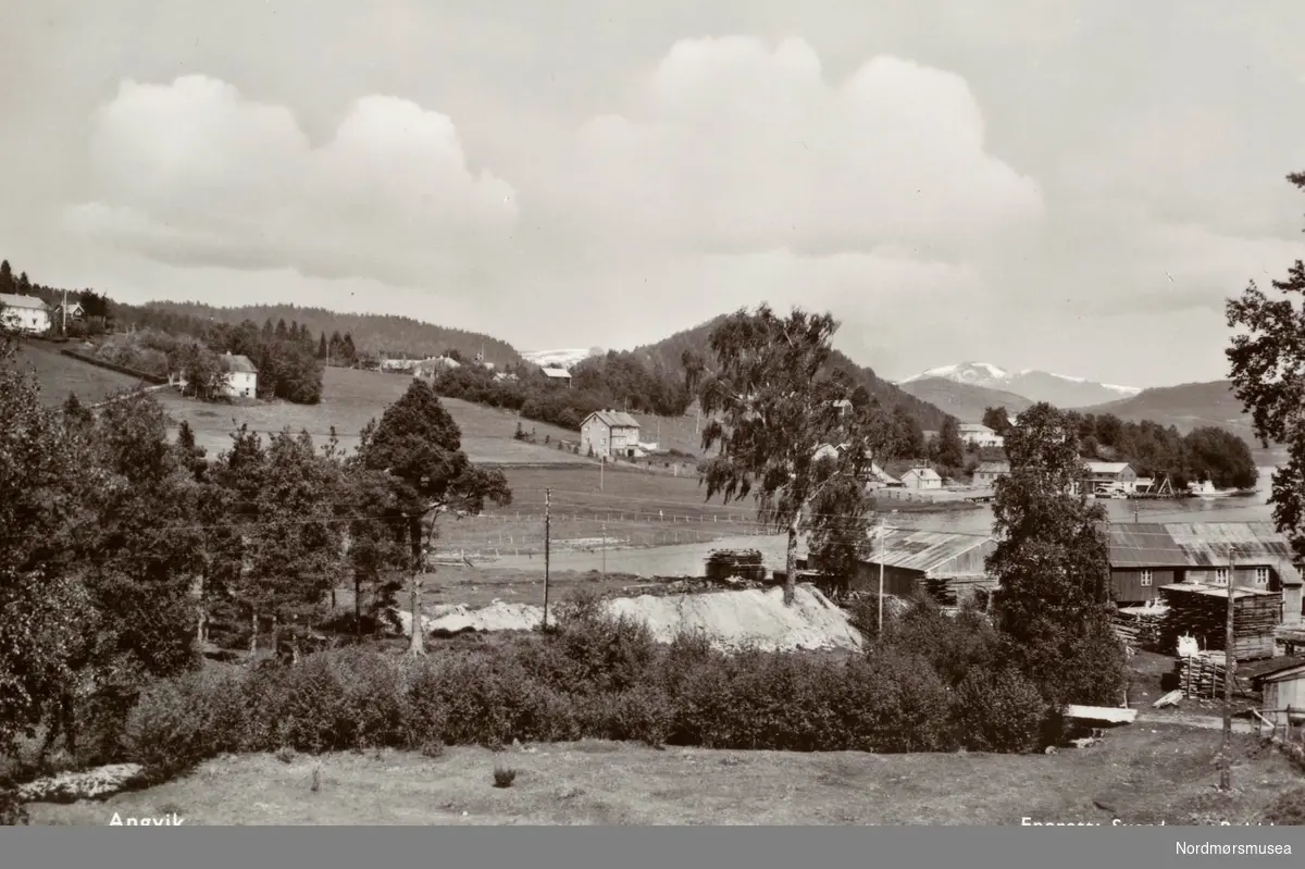 Postkort ";1036"; med motiv fra bygda Angvik i Gjemnes kommune. Bildet er trolig fra perioden 1951 til 1955. Fra Nordmøre Museums fotosamlinger. Reg: EFR
