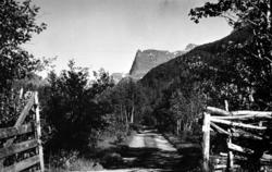 Foto fra Dalsbø, Virumdalen, ser inn mot Innerdalstårnet. Su