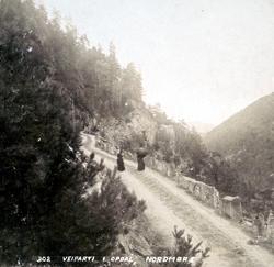 ";302 Veiparti i Opdal Nordmør";. Kan det være Gråøra? Ukjen