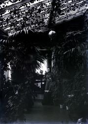 Fra parken/lysthuset i Christian Johnsens sommervilla Retiro