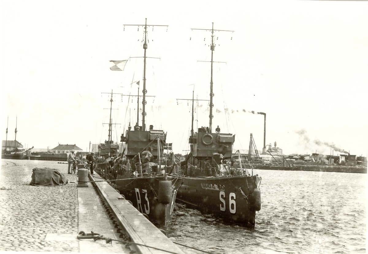 Tre danska fartyg, Nordkaperen (R3) byggd 1918, Havhesten (S5) byggd 1917 og Narhvalen (S6) byggd 1917. Dessa var ursprungligen byggda som torpedbåtar men S5 och S6 gjordes om till minsvepare 1929.