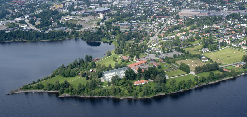 Flyfoto som viser Domkirkeodden der den stikker ut i Mjøsa med sine bygninger (Foto/Photo)