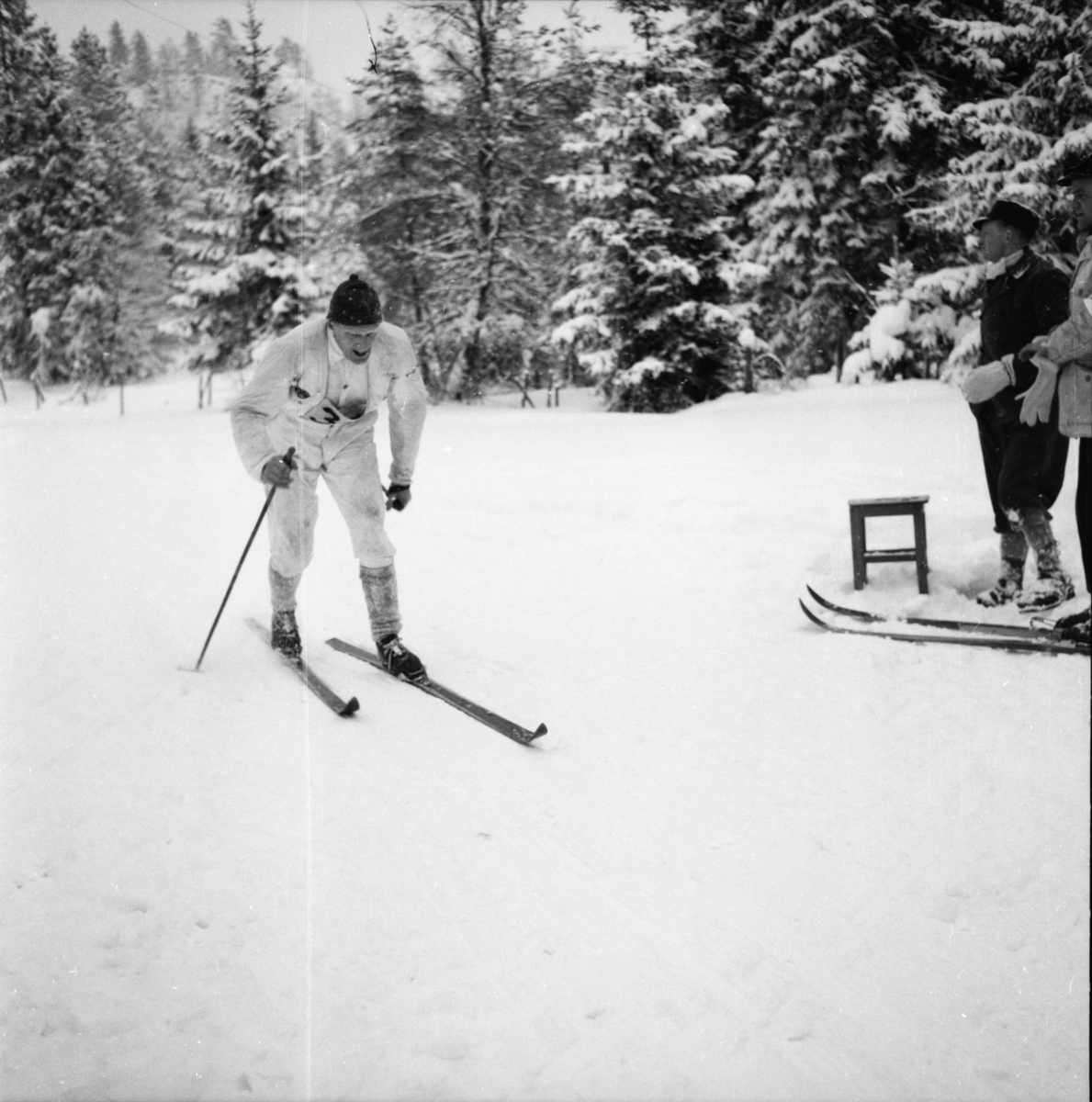 Vardens arkiv. "Politimesterskapet"  09.02.1954