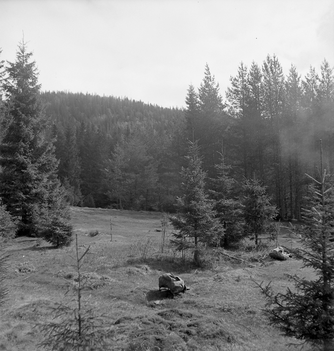 Nygårdsvollen ved Hommelvik