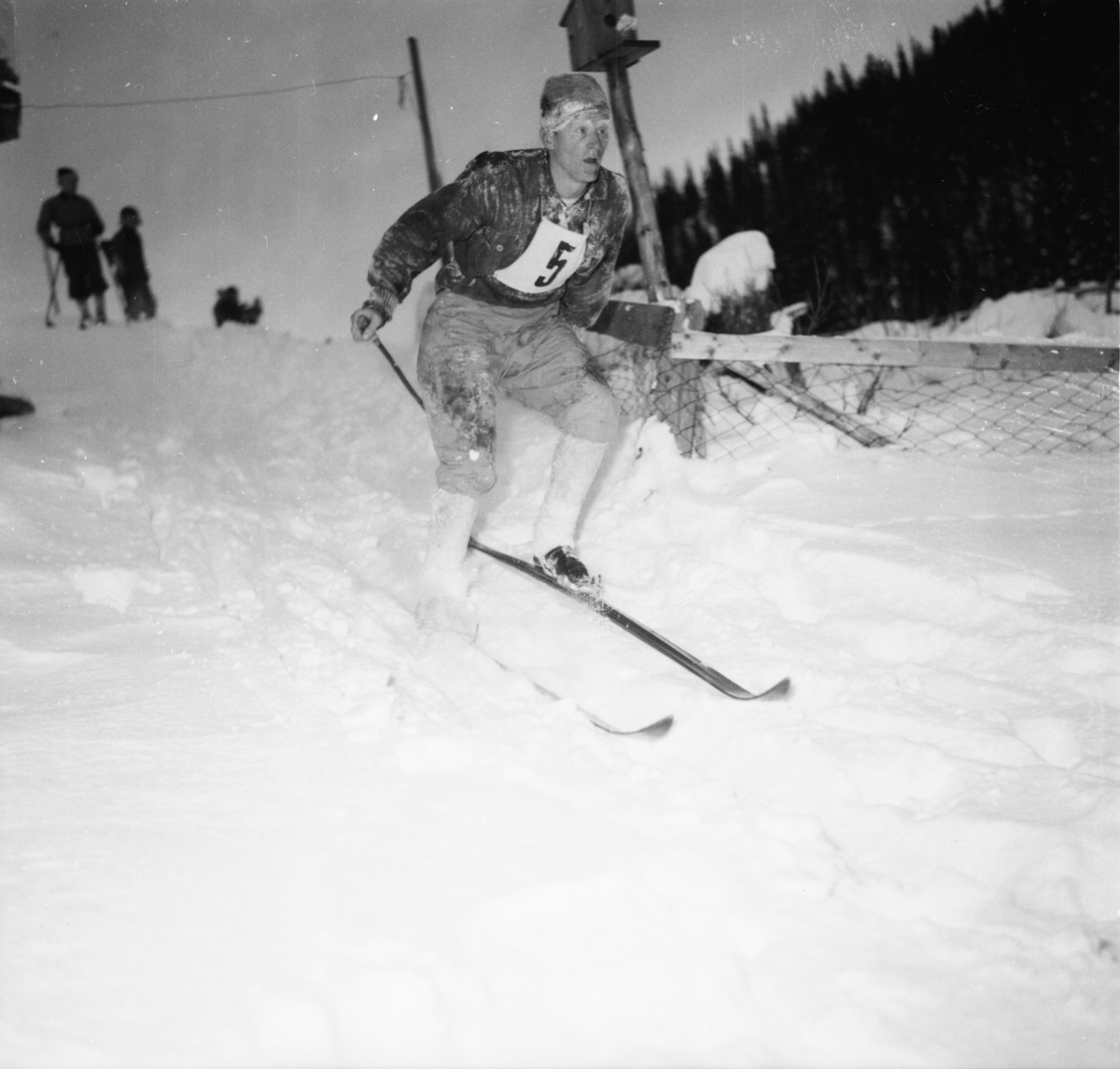 Vardens arkiv. "K.M. ski i Svartdal"  21.01.1954