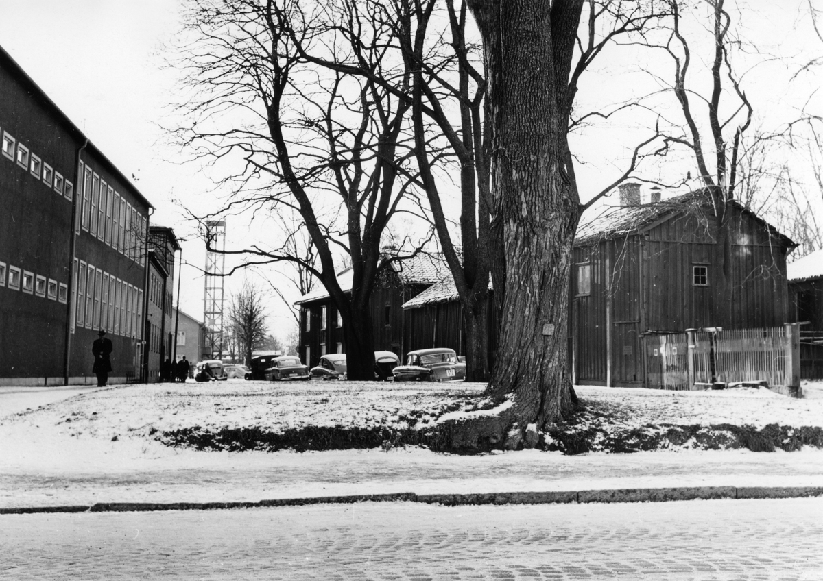 Kvarteret Almen i Karlstad: Almenparken 1959.