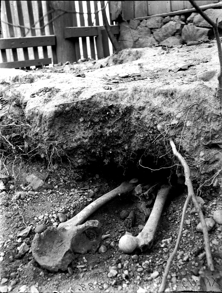 Medeltida gravar. Foto år 1922.
Fotograf Sörman.