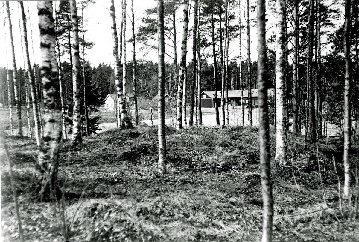 Nibblesbacke gravfält.
Fotograf KJ Österberg.