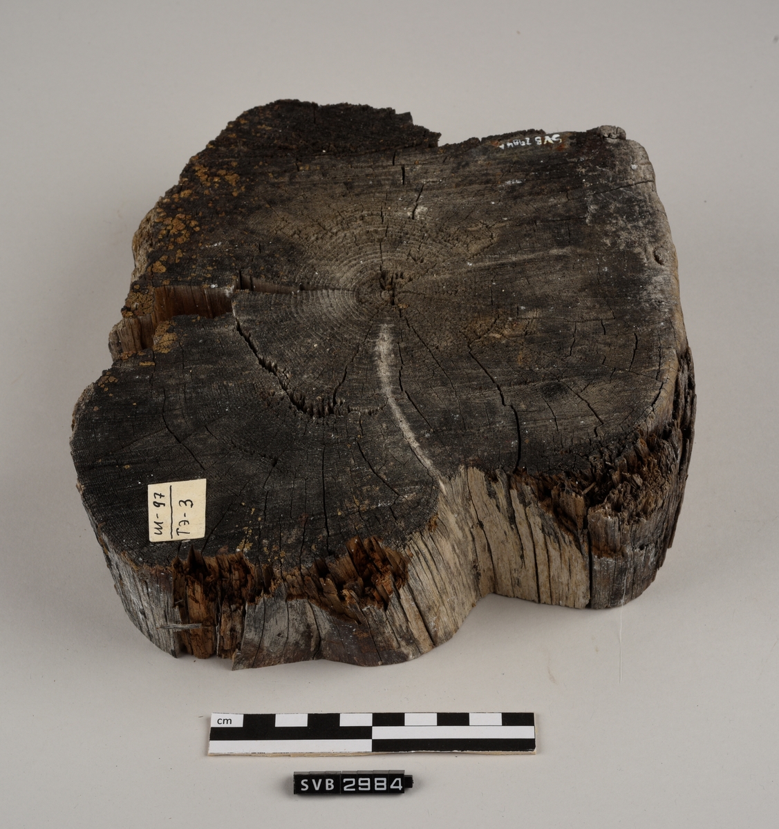Tregjenstand med tilnærmet rundt tverrsnitt. Tremateriale er tørt og sprukkent. Det er 2 løse deler. Det er en lapp på undersiden med russiske tall og bokstaver.