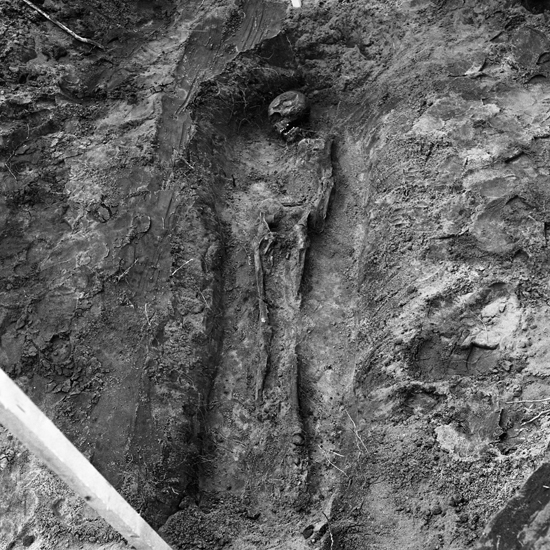 Foto av skelett i uppgrävd grav. Kånna högar, undersökning 1964.04.