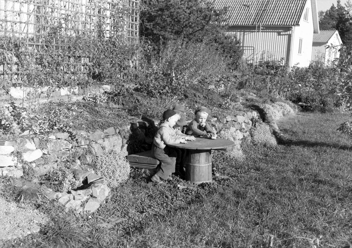 Gävle Manufaktur AB, Strömsbro. Från trädgårdsanläggning - och odling. 23 oktober1951.


