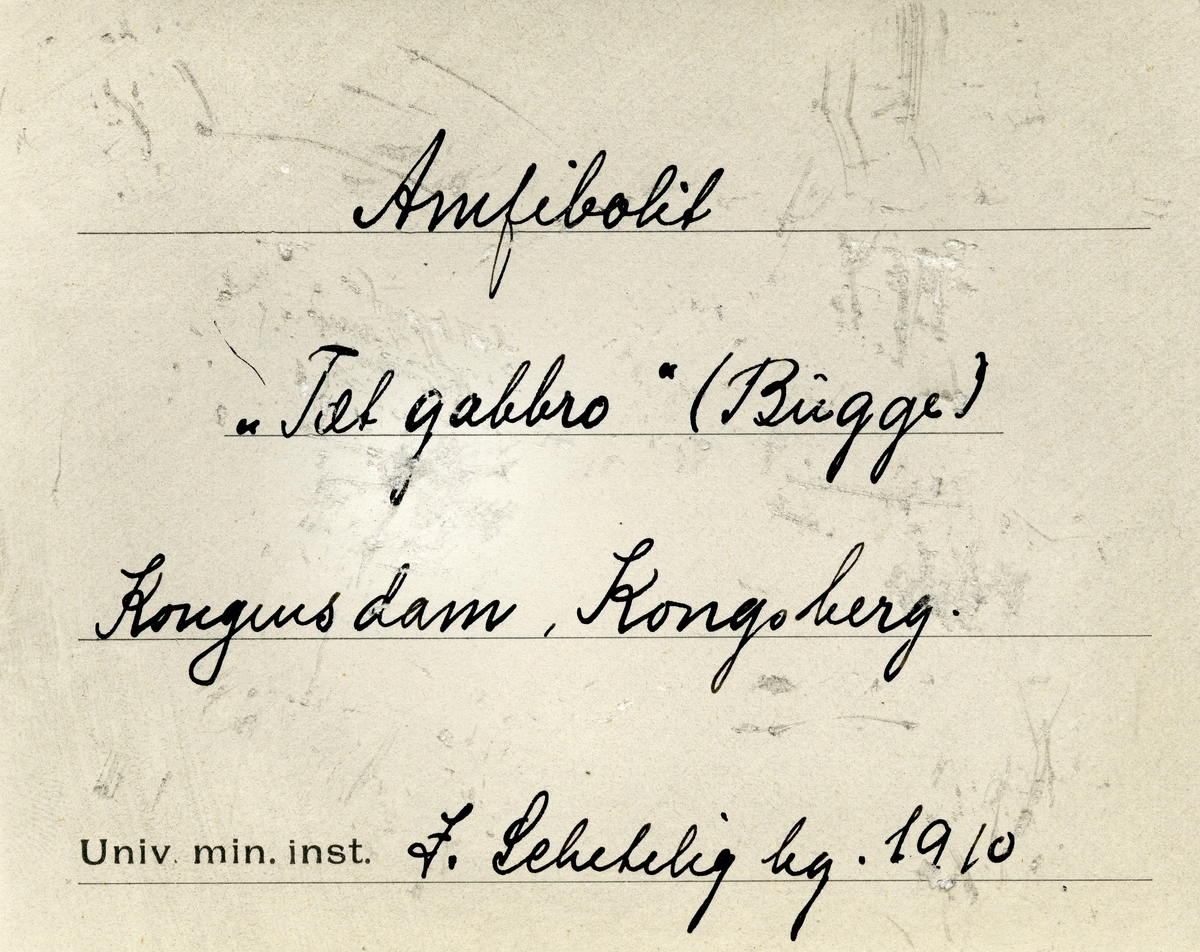 To etiketter i eske:

Etikett 1:
Amfibolit
«Tæt gabbro» (Bugge)
Kongens dam. Kongsberg
J Sch leg 1910

Etikett 2:
Amfibolit
«Tæt gabbro» (Bugge)
Kongens dam, Kongsberg.
J. Schetelig leg. 1910