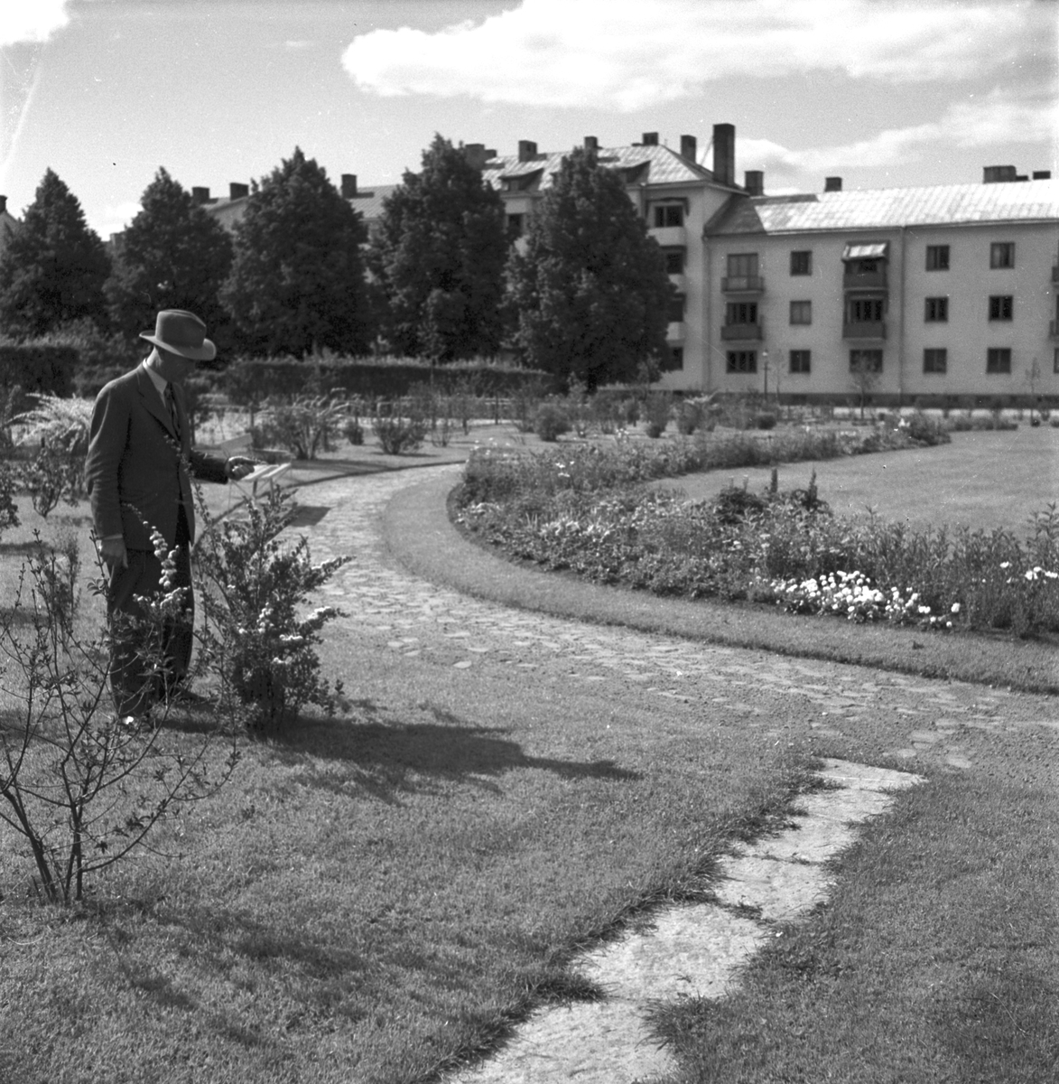 Gefle Dagblads reportage från vägbyggen och parkanläggningar. Juli 1950. Huset till höger har adressen Brunnsgatan 49. Det litet högre huset i mitten är nr 47. Fotot är taget mot norr.