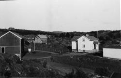 Gårdstunet til Anna og Nils Grønvik. 1944