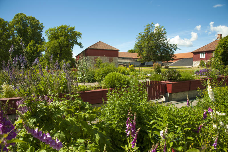Numerous flowers and plants in the Herb garden and Storhamarlåven in the background.