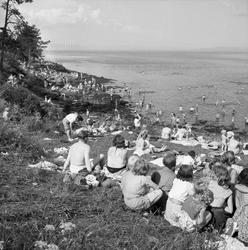 Badeliv i Devlebukta