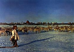 Postkort, Norsk Folkemuseum. 
Reindrift