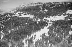 Gausdal,Østre Gausdal, Skeikampen, fjellandskap, vinter, gra