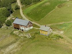 Øygard. Gårdstun. Nypanelt bygning, rødmalt uthus. Bærbusker