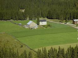 Tyrom. Gårdsbruk. Hovedbygning og driftsbygning. Dyrka mark,