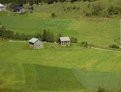 Hoggingen. Rødbrun stue, umalt uthus. Kulturlandskap.