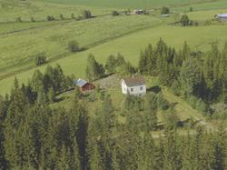 Lite bolighus, skog, kulturlandskap, antatt Østre Gausdal