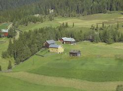 Haug, småbruk, Svatsum, Vestre Gausdal. Gamle bygninger, gul