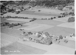49903 - Jevne gård, Øyer Foto Widerøe's Flyveselskap A/S