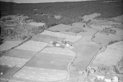 Vedum Nordjordet (Videimr) gård, Øyer, 1959, To hvite, toete