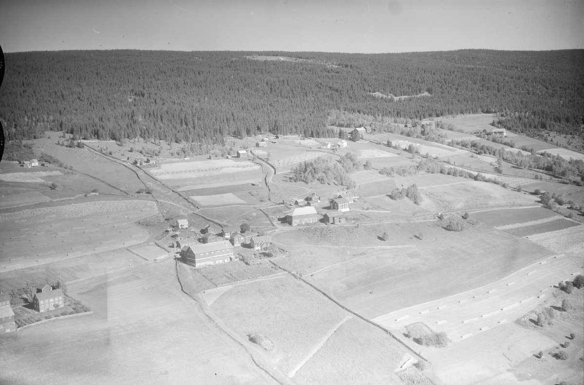 Flere gårder, øverbygda, Øyer, 1952, oversiktsbilde, li, flere gårder, jordbruk, slåttonn, hesjing, kornstaur, granskog