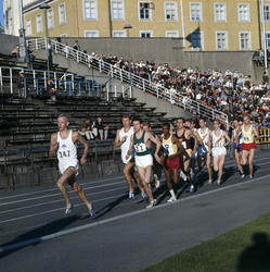 Løp på Bislett stadion