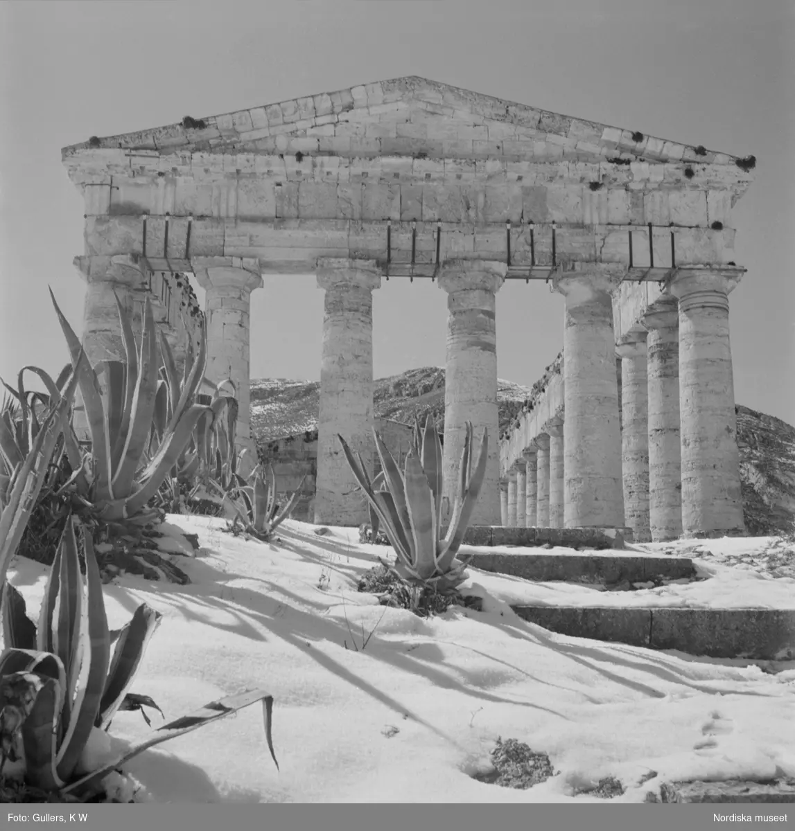 Segestas grekiska tempel inramat av mexikanska agaver och ett snötäcke