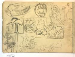 Ni skisser av fugl, skjelett, planter mm [Tegning]