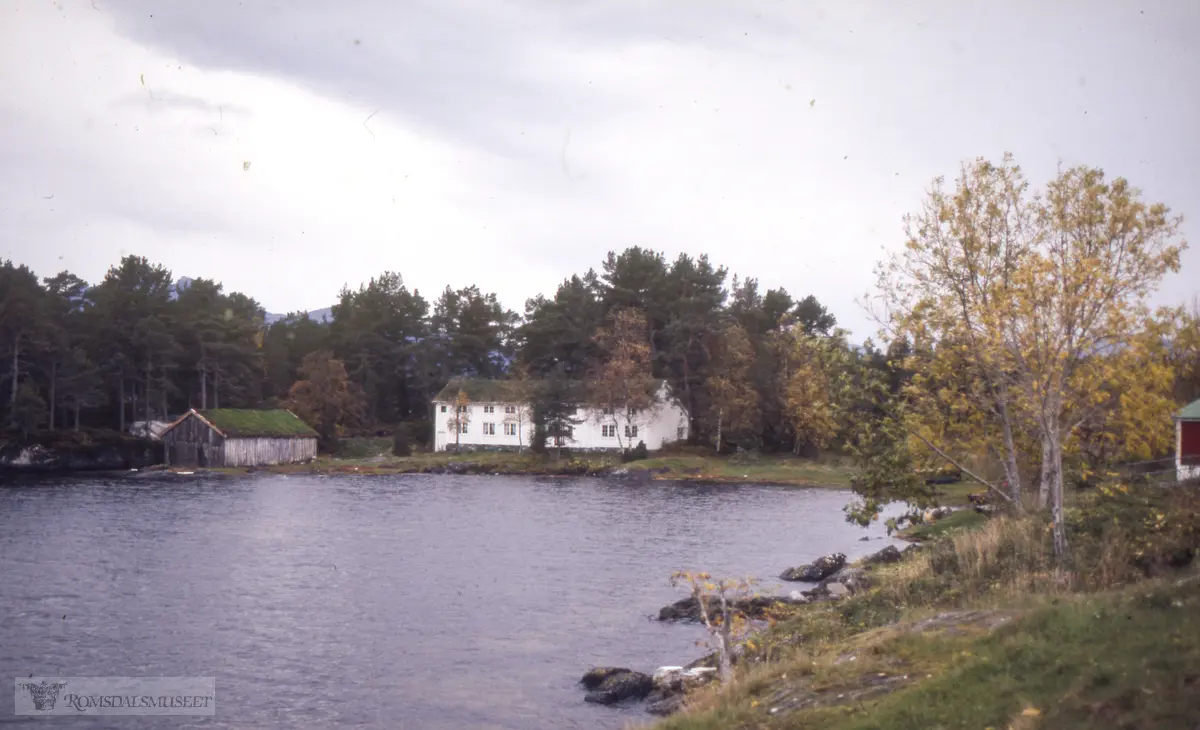 Påskehella, Drønøysundnaustet 1985.