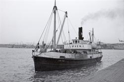 M/S Løven I (Ex.  D/S, Gyldenløve III, Alf, Lidköping, Birge